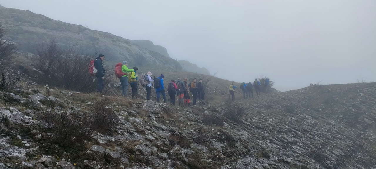 WhatsApp Image 2026-02-10 at 14.47.43 (6)